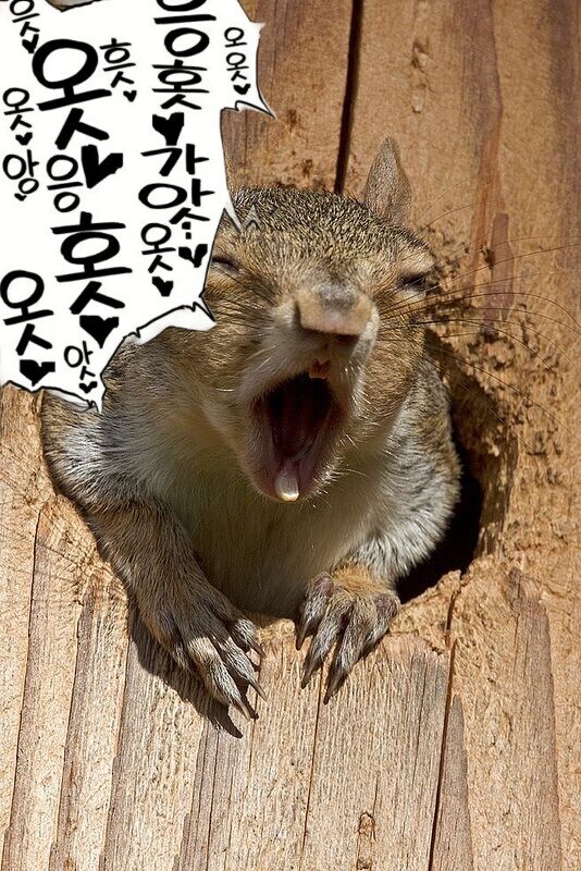루리야! 움짤 만들어줘_1.jpg