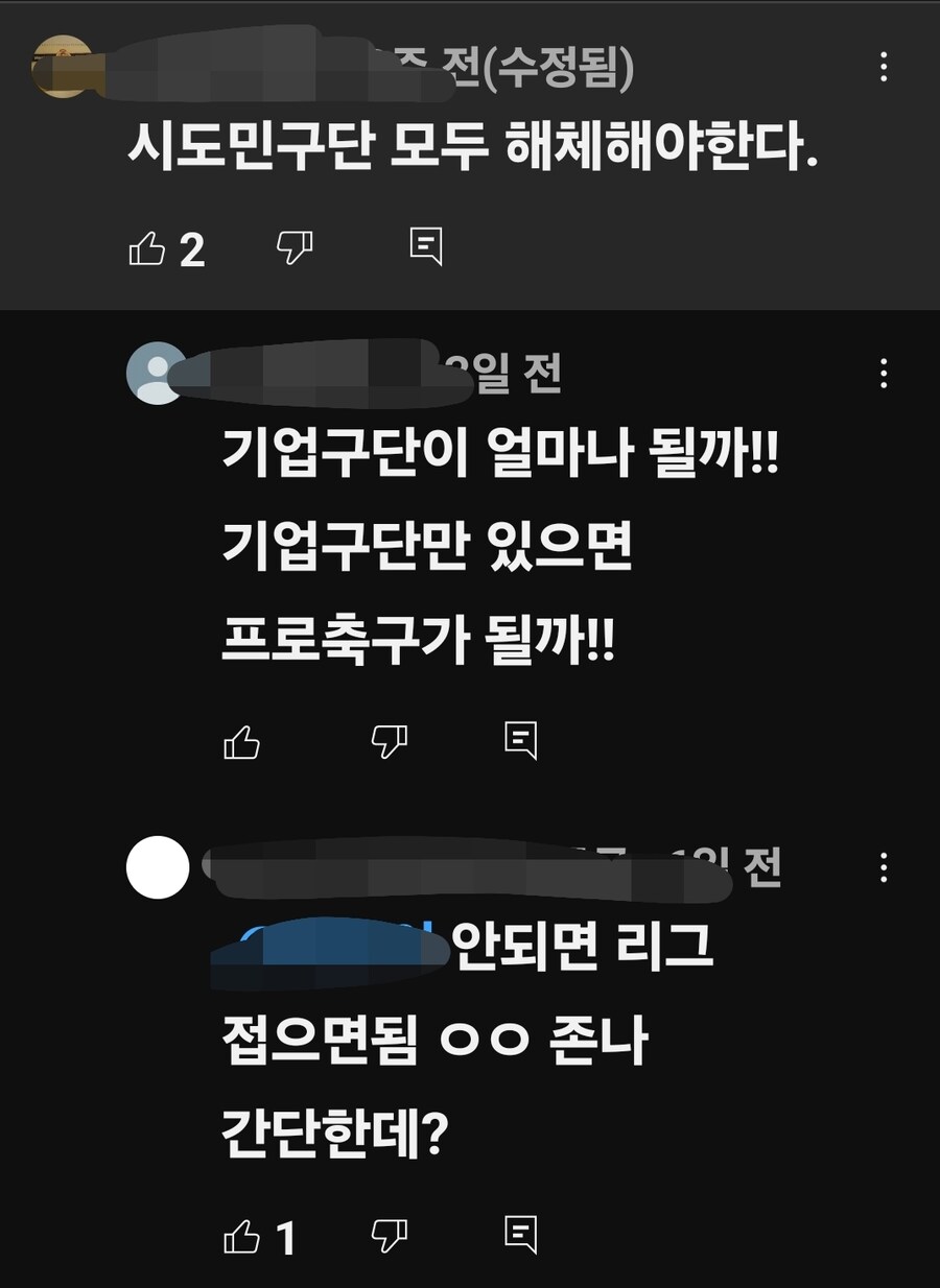 K리그 시민구단 모두 해체해라!_1.jpg