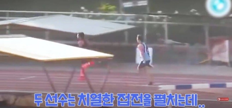 경기장 난입한 강아지_3.jpg