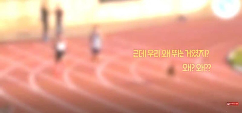경기장 난입한 강아지_20.jpg