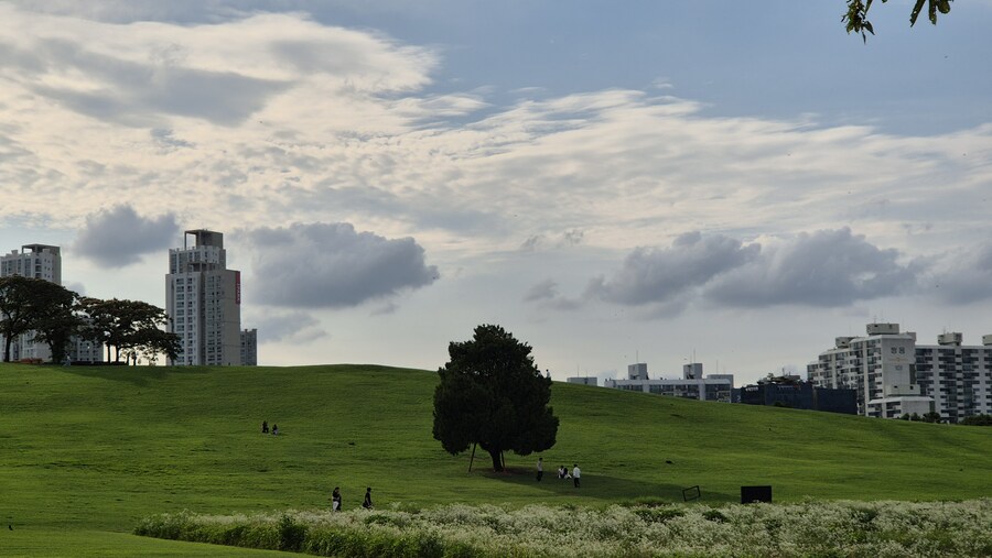 올림픽 공원 출사 (스압)_1.jpg