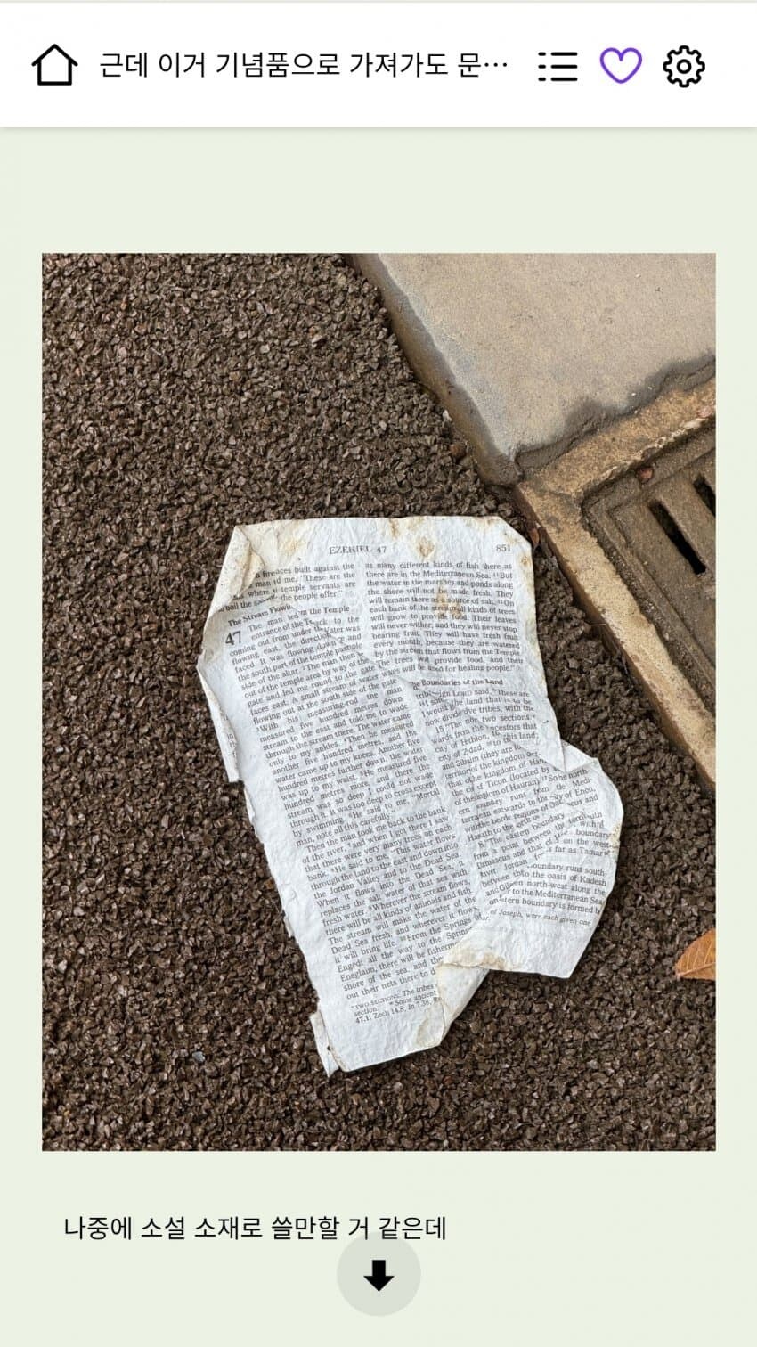 소설보다 더 소설같은 작가의 휴재 사유 ㅋㅋㅋㅋ_2.jpg