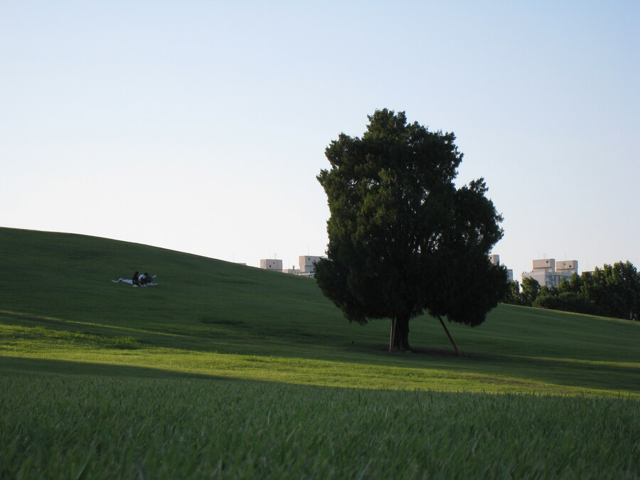 올림픽 공원 출사 (스압)_8.jpg