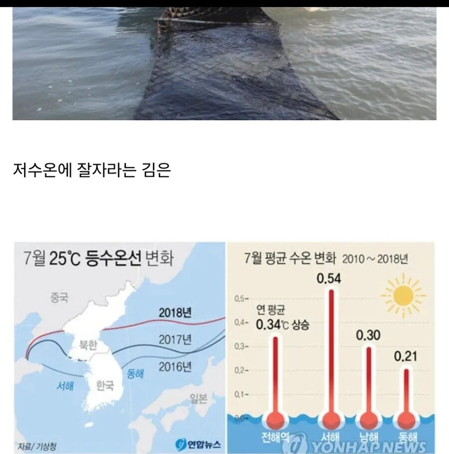 한국이 5년안에 북한을 점령해야하는이유_3.jpg