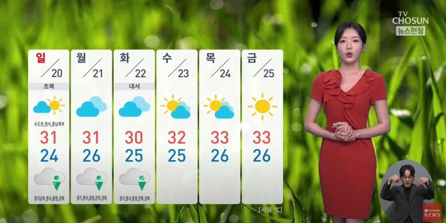 ???: 한국인들을 위해 다음 주 부터 폭우를 멈추겠습니다_1.jpg