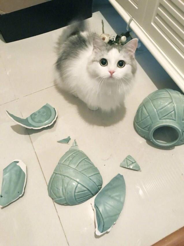 유게를 하는이유 2_7.jpg