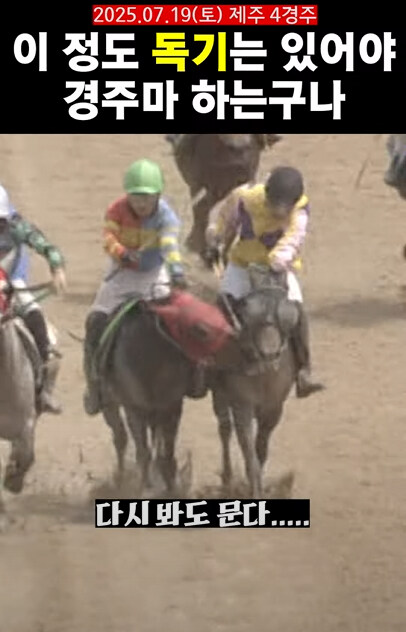 K-경마) 오늘자 제주마 경주 헤프닝._2.jpg