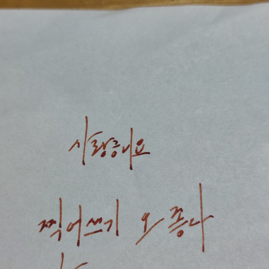 만년필 잉크 그냥 찍어쓰기_4.jpg