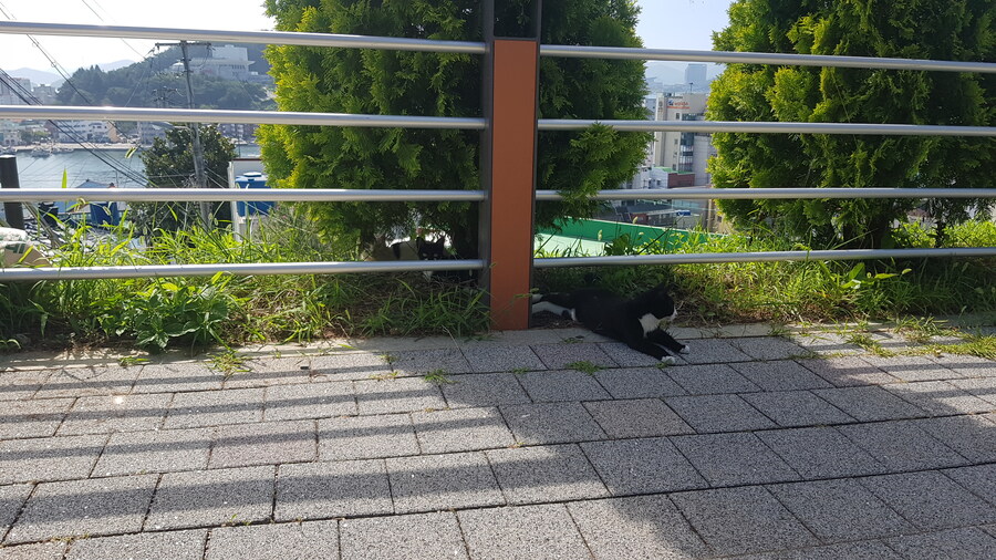 갤러리에 올릴건 없고_4.jpg