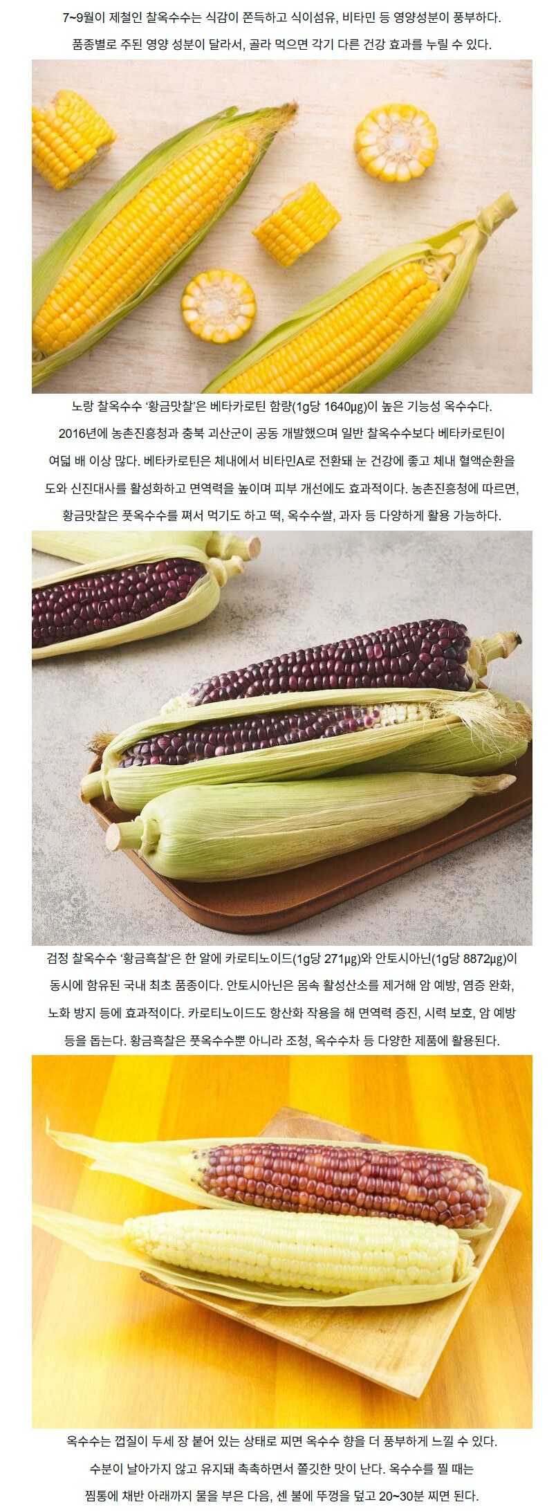 제철 맞은 찰옥수수, 품종별로 다른 건강 효과_1.jpg