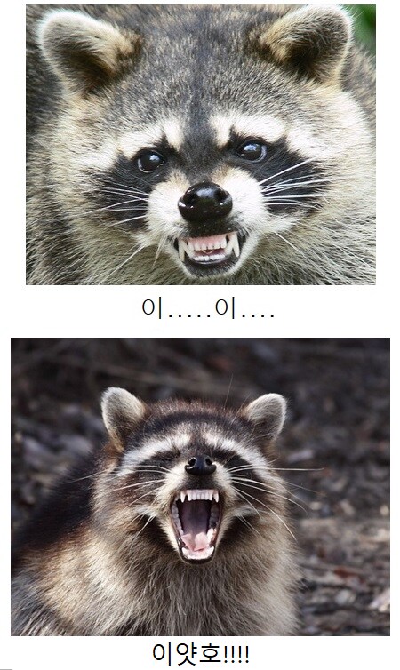 블루아카) 전술대회 순위가 탐나서 보자마자 들이박았다!_2.png