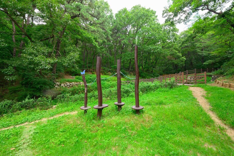 전국의 유아숲 체험 공원 근황.jpg_5.jpg