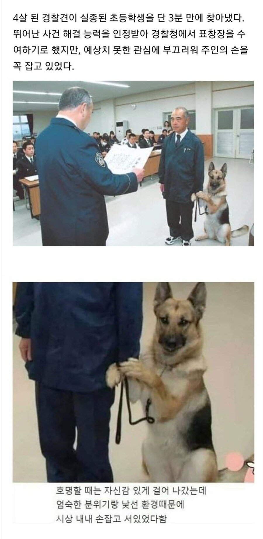 실종 초등생을 3분만에 찾아 표창장 받는 경찰견.jpg_1.jpg