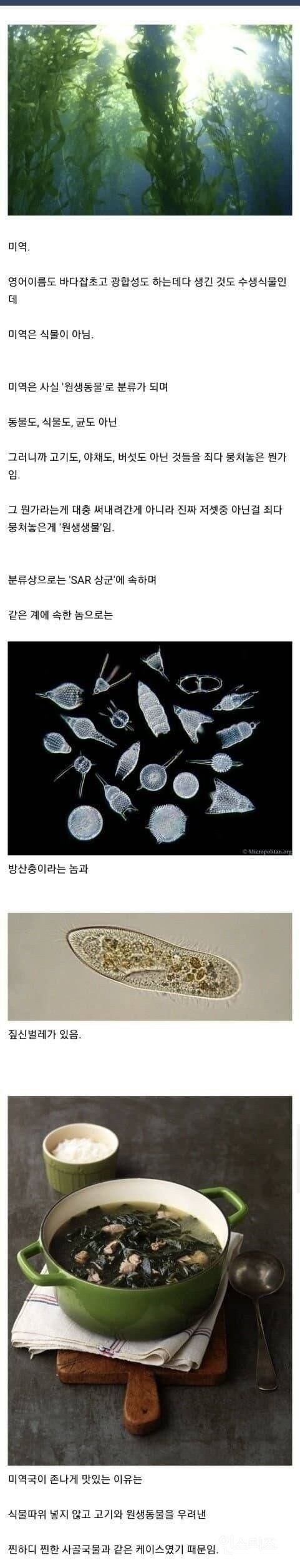 미역국이 맛있는 이유_1.jpg