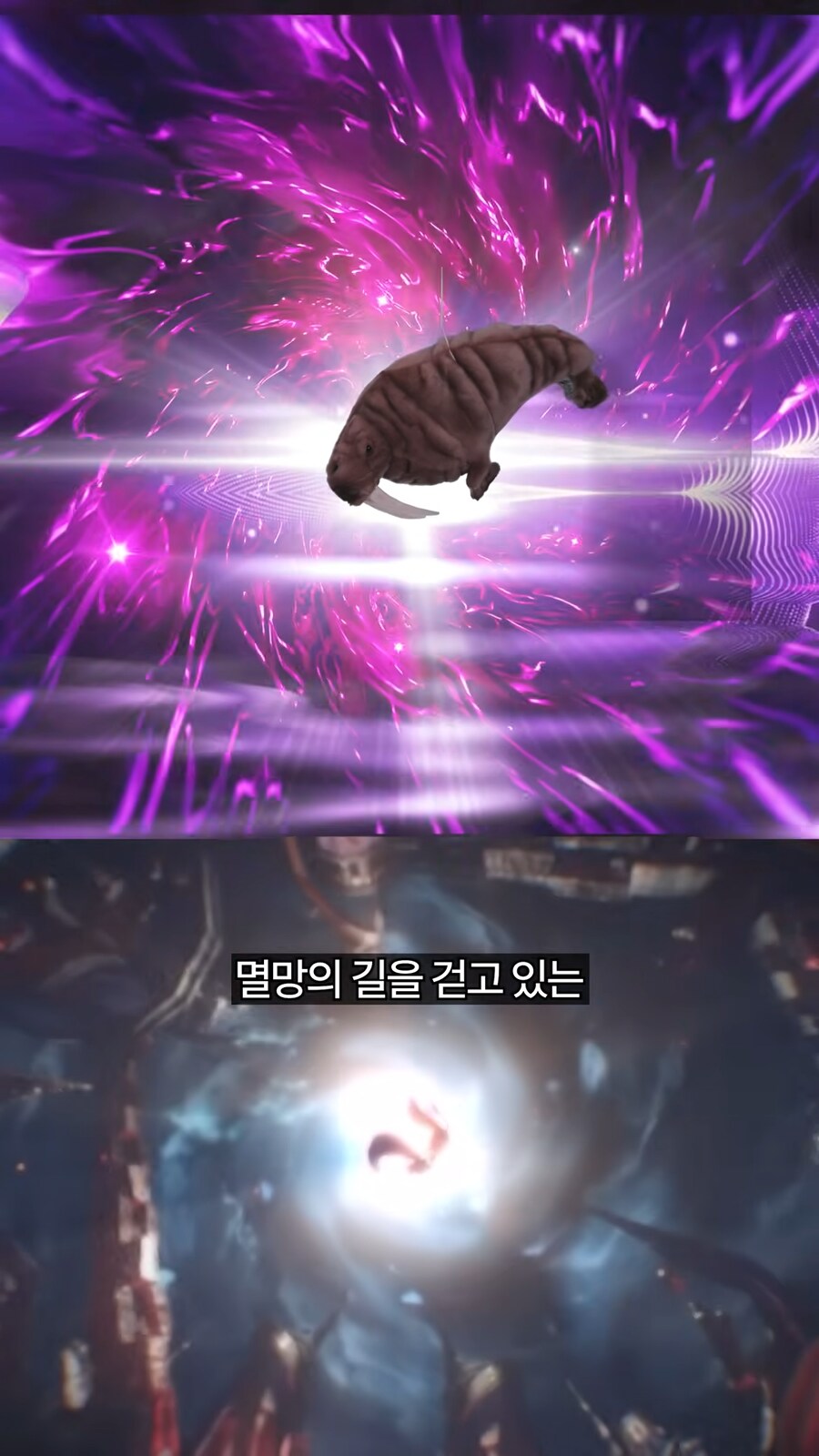 스타레일)진짜 광고 아무 사람한테나 막주는구나 개뜬금없네_34.png