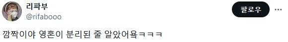 고양이 사진보고 놀란 사람.jpg_2.png