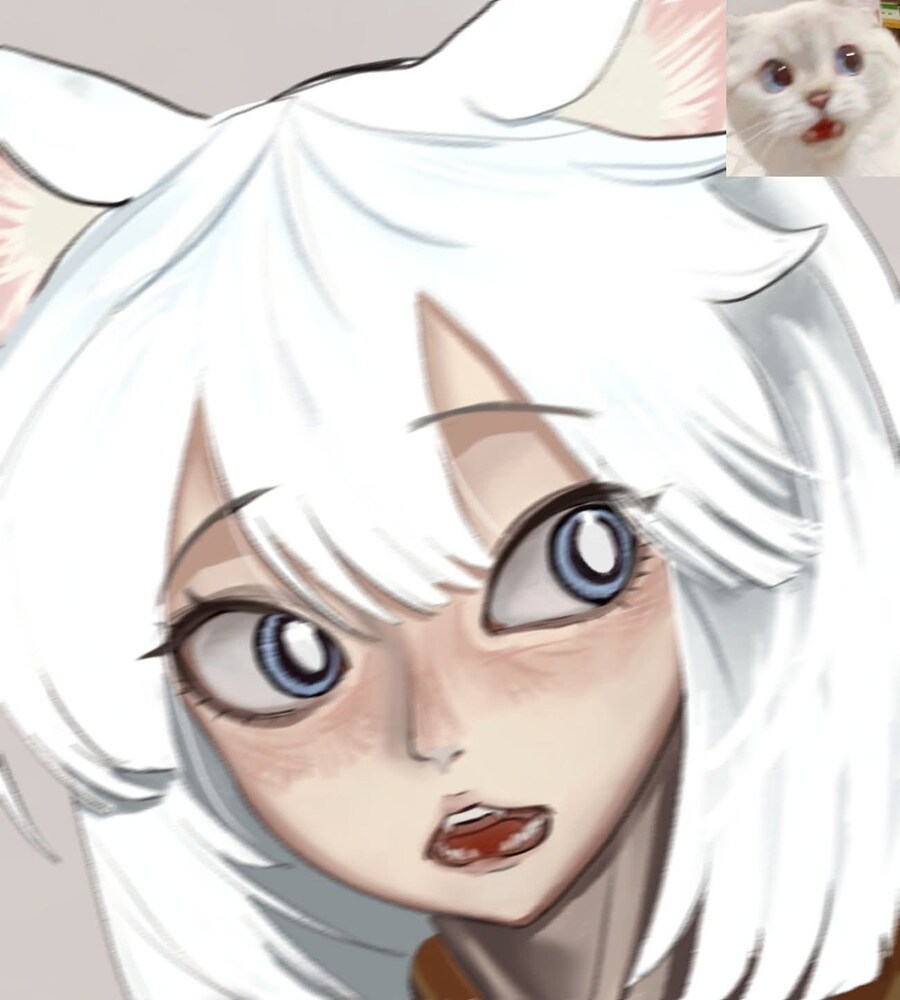 의외로 세계관 파괴가 아니라는 고양이 수녀님.JPG_8.jpg