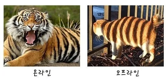키보드 워리어, 방구석 여포의 온라인과 오프라인.jpg_1.webp