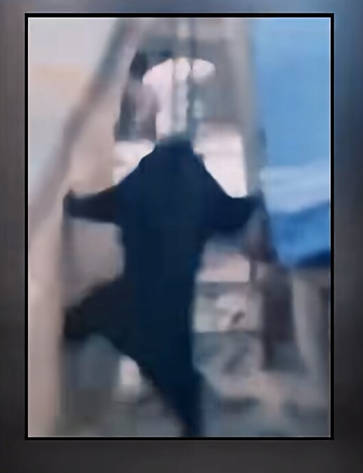 지붕위라고 굶주린 곰을 함부로 놀리면 안되는 이유 mp4_1.png
