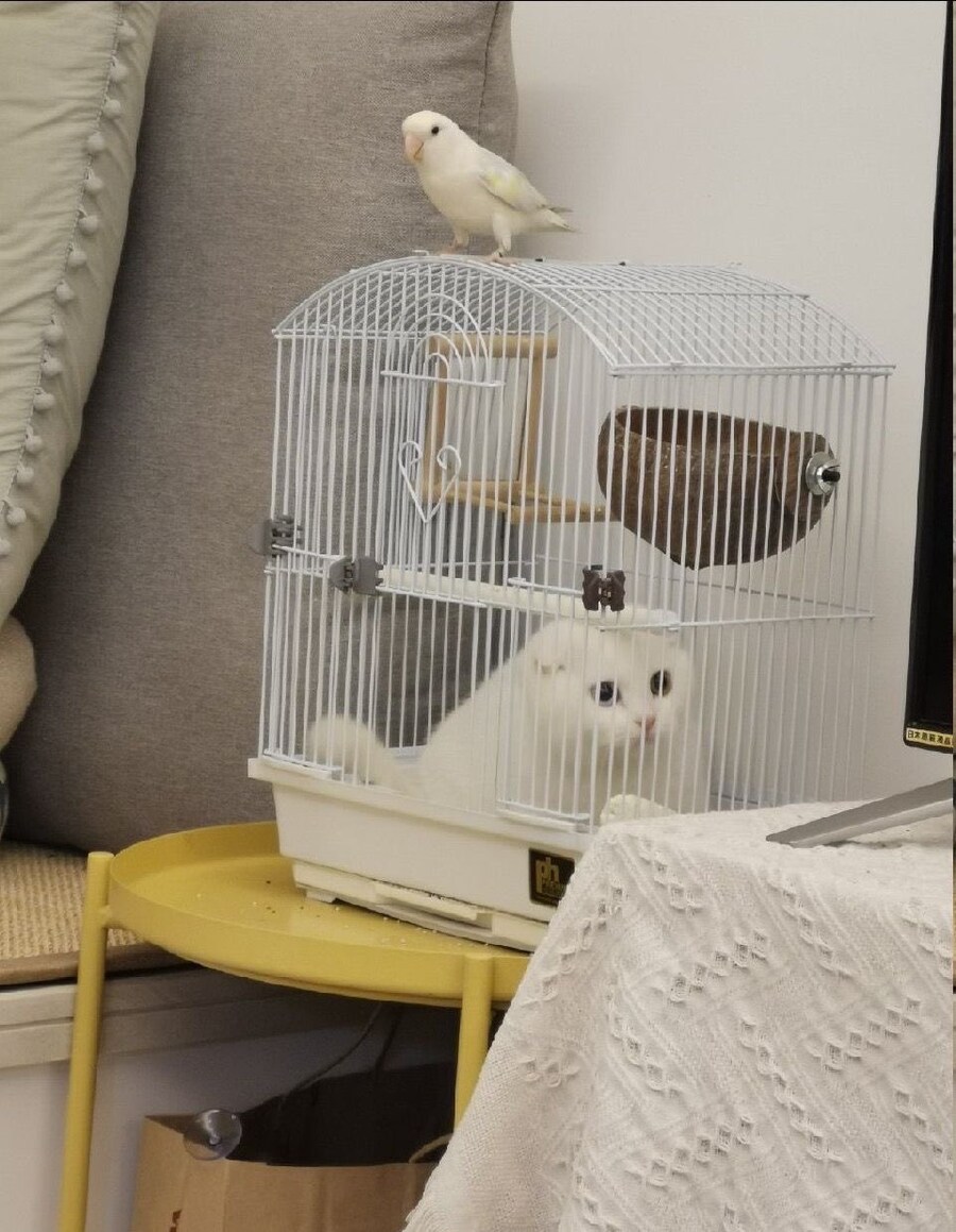 거기가 너의 새로운 감옥이다_1.jpg