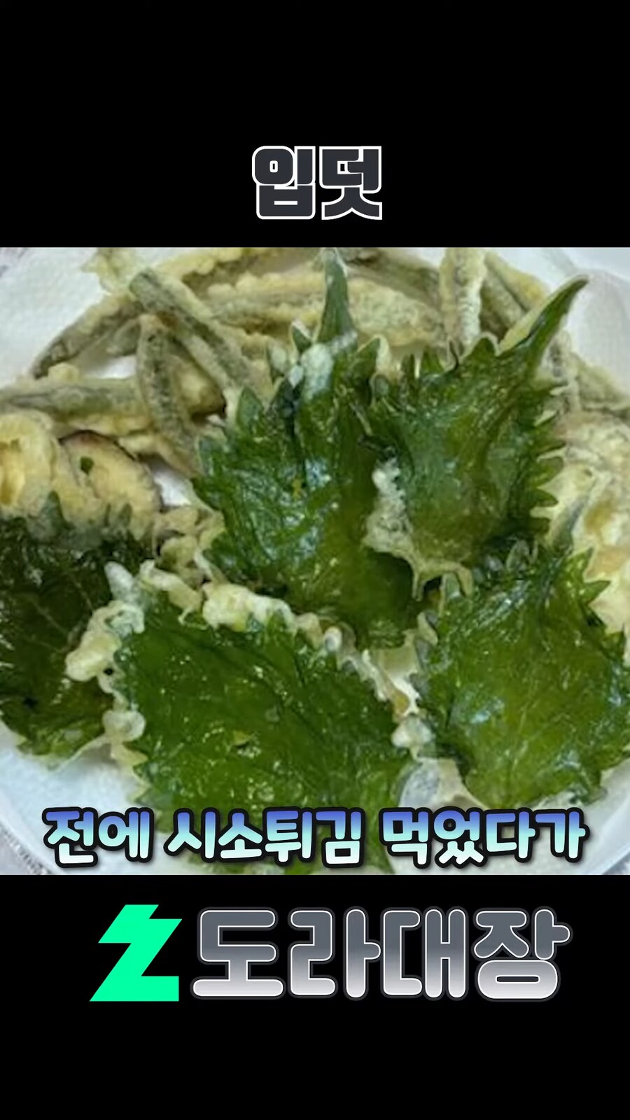 입덧 하는 도라대장_1.png