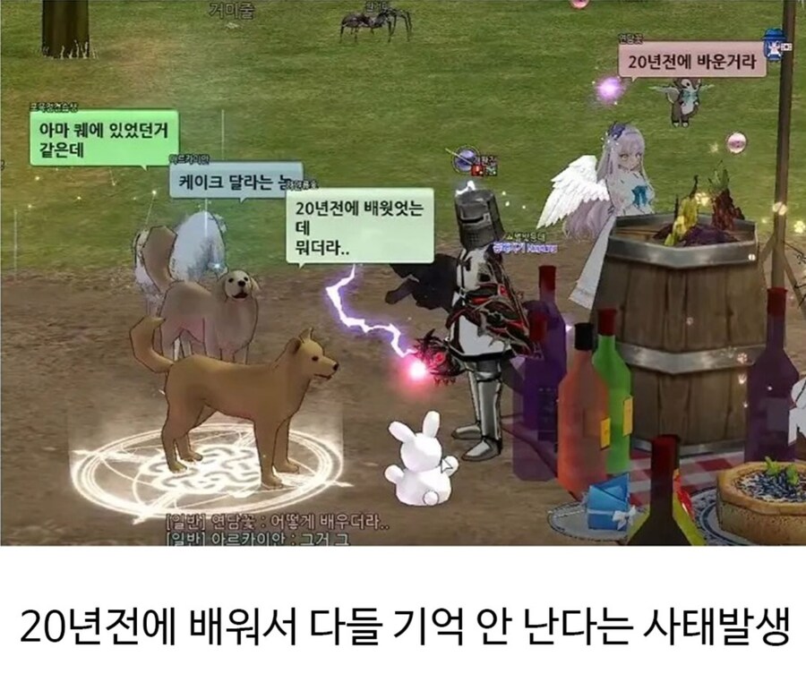 마비노기 본가 근황.jpg_4.jpg
