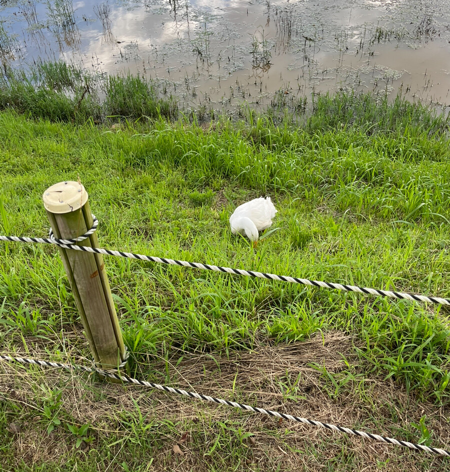 전남도청에 숨겨진 비밀_6.jpg