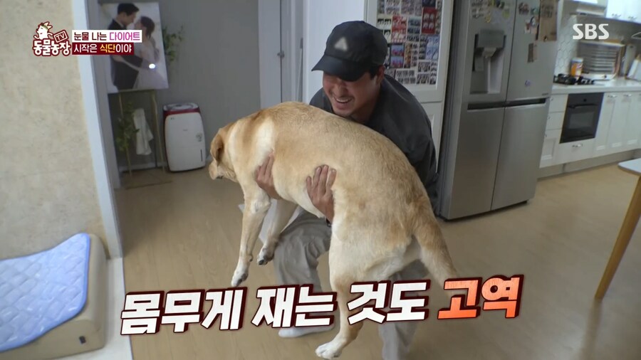 자기개 비만 아니라고 우기는 여주인..._3.png