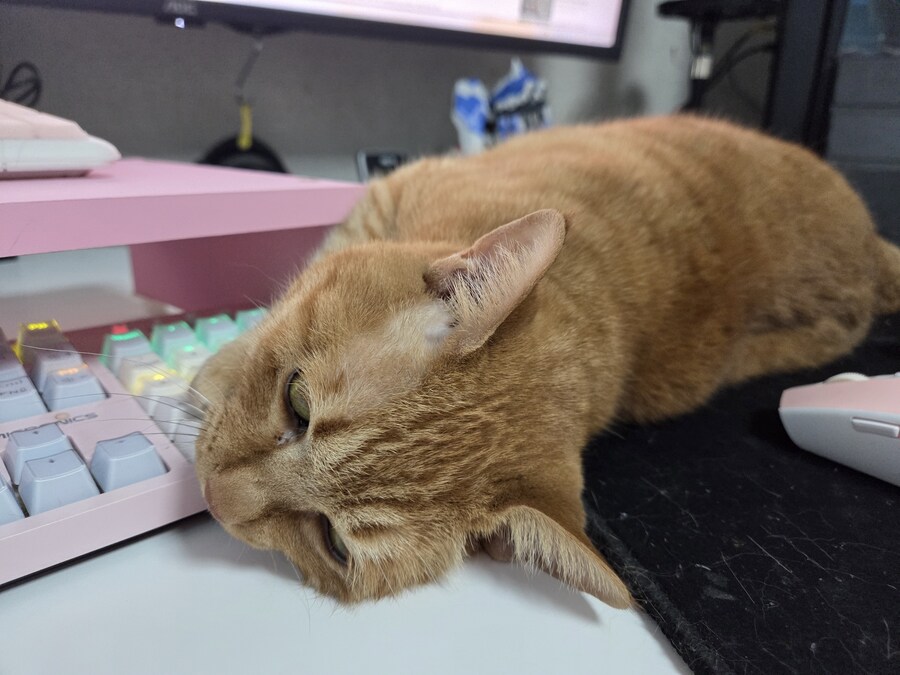 업무하는데 고의로 방해하면 경찰에 신고 가능하지?_1.jpg