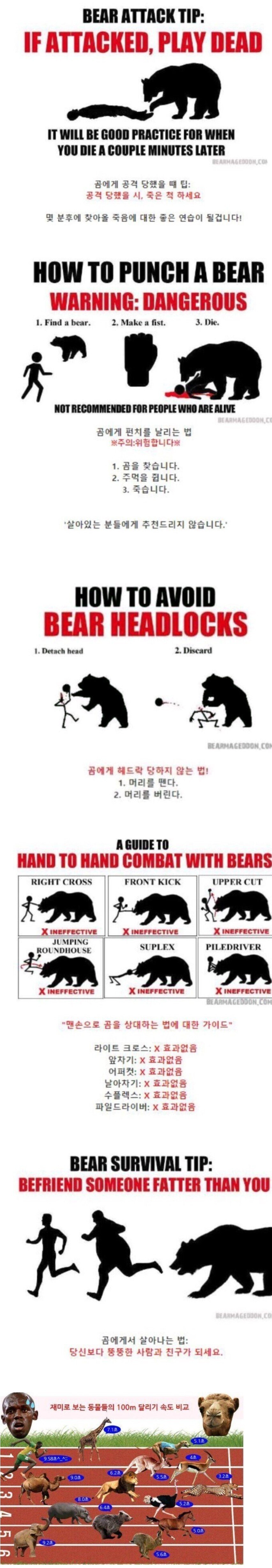 산 속에서 곰을 만나면 위험한 이유.jpg_1.jpg