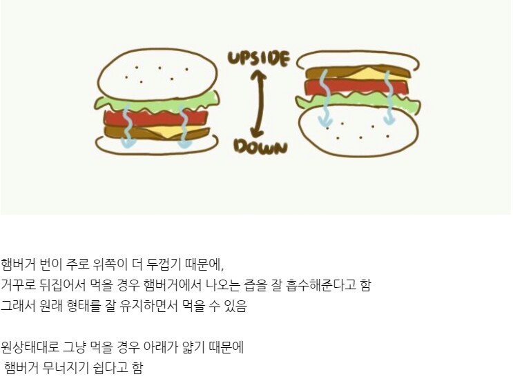 햄버거를 거꾸로 먹어야 하는 이유._1.png
