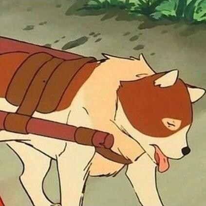 코딩은 인도애들이 잘한다는데_1.jpg