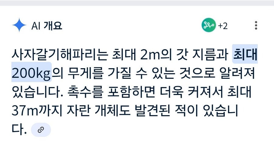 버튜버) 체중이 해파리 3마리 분_2.jpg