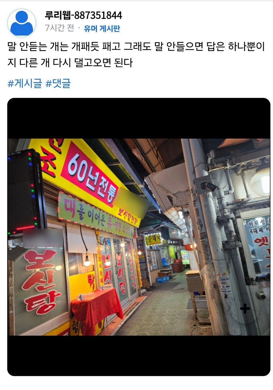 고양이 혐짤빌런은 사실 관리자 애착인형이 아닐까?_3.jpg