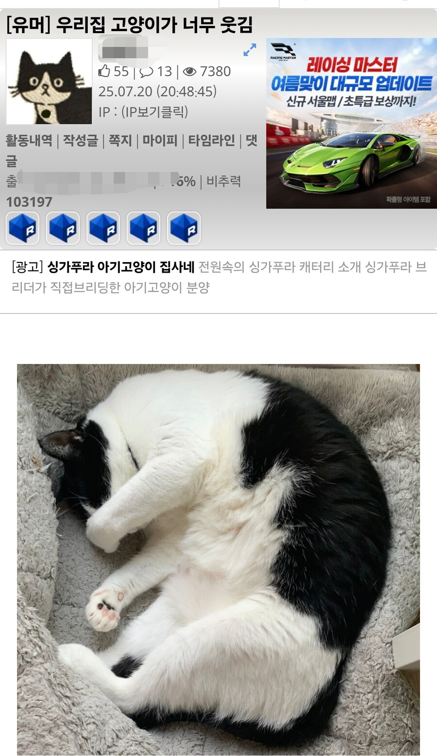 고양이 혐짤빌런은 사실 관리자 애착인형이 아닐까?_4.jpg