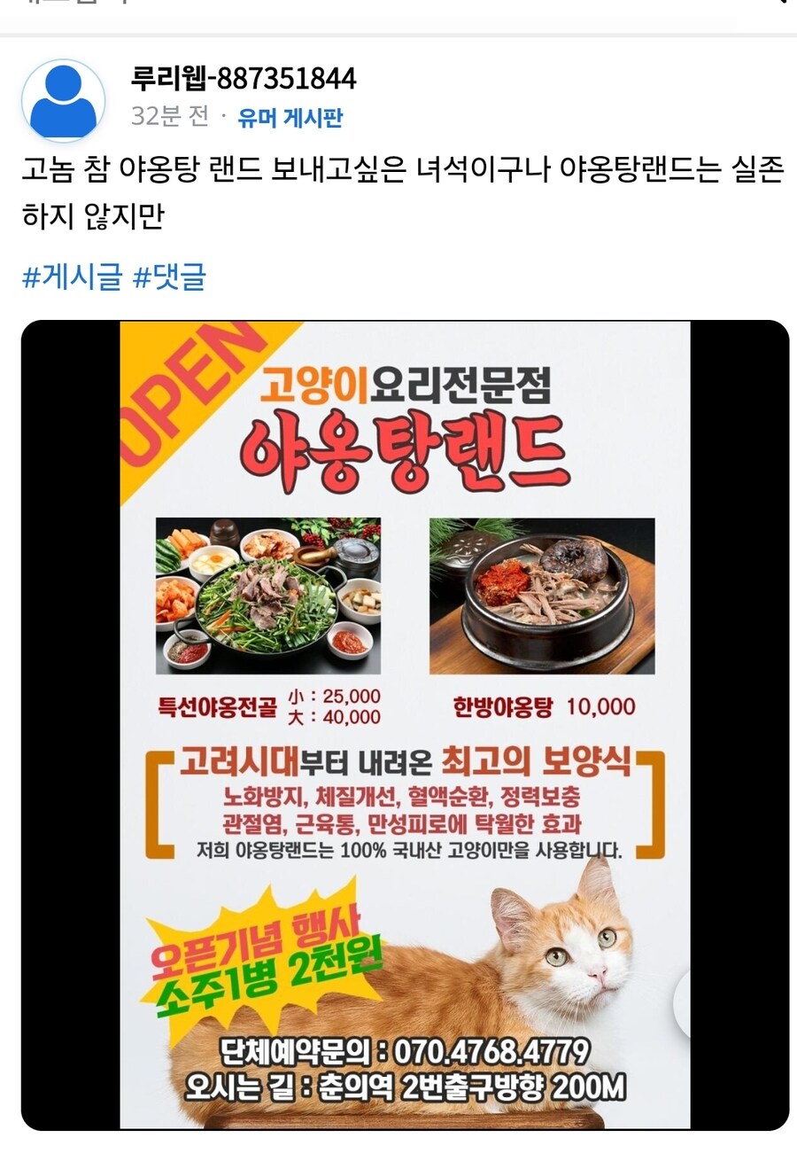 고양이 혐짤빌런은 사실 관리자 애착인형이 아닐까?_5.jpg