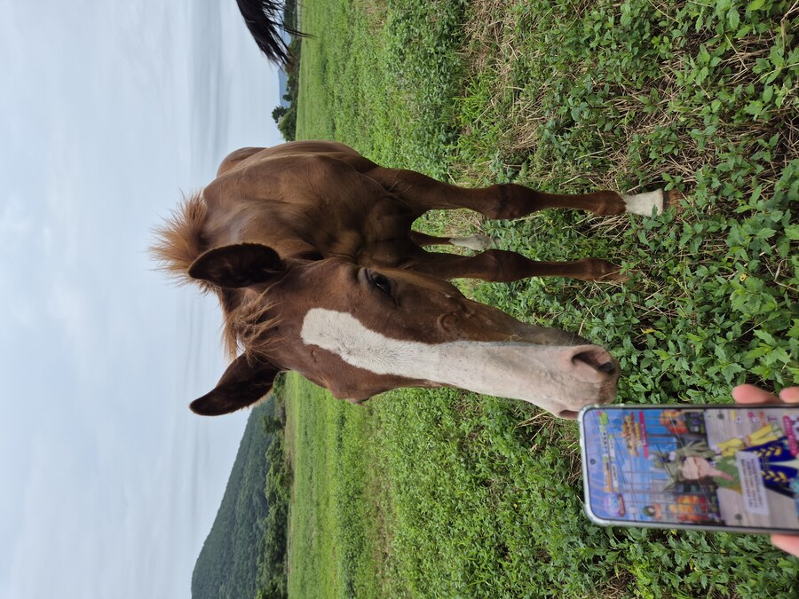 말딸 혈통 : 한섭 2부 스토리 돌입 기념_3.jpg