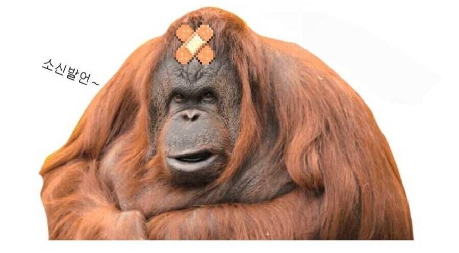 중국군을 라시아군하고 비교하는게 이해안되는 이유_1.jpg