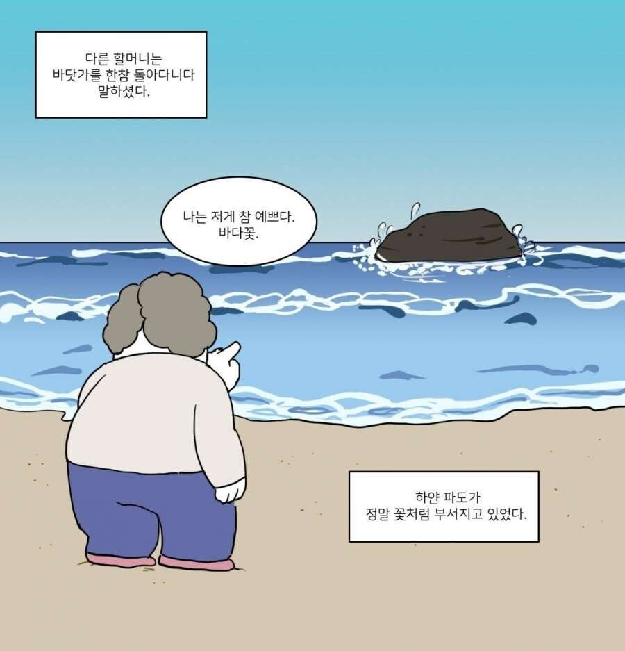 난생 처음 바다를 본 할머니들_3.jpg