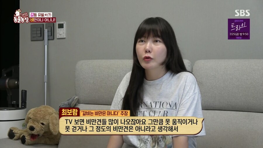 반려견 돼지 만들어 놓고 비만 아니라고 우기는 여자_5.png