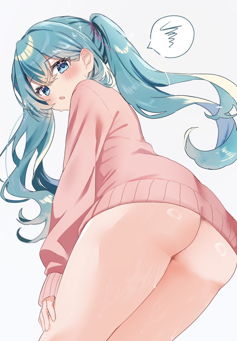 팬티를 안입은거 같은 하츠네 미쿠_1.jpg
