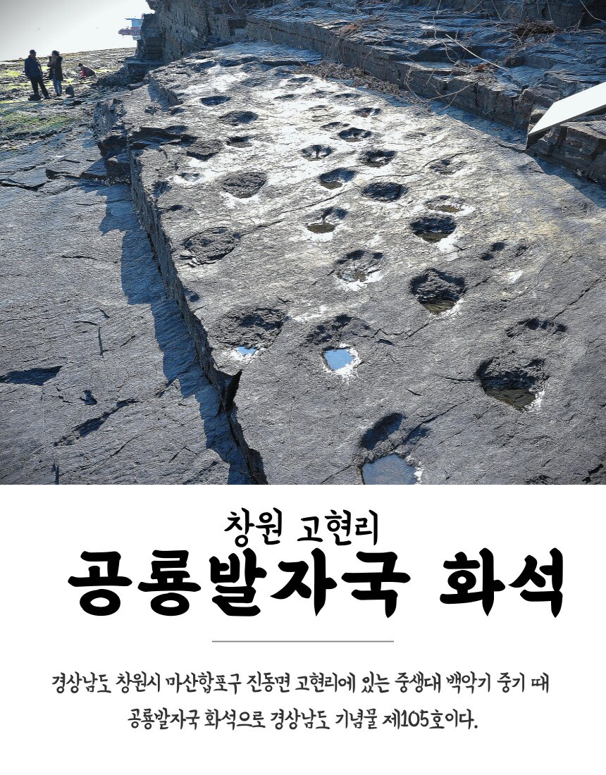 베글에 공룡월드가 왜 창원에 있는 이유_1.png