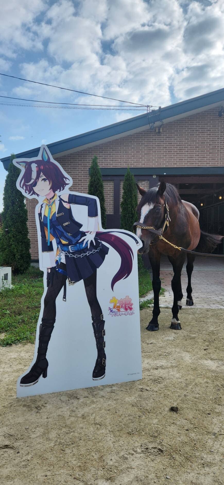 경마) / 말딸) 김렛: 이건... 나?_1.jpg