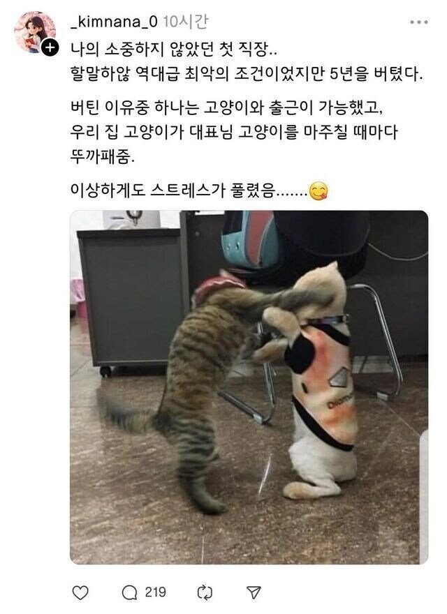 고양이가 사료값 하는경우_1.jpg