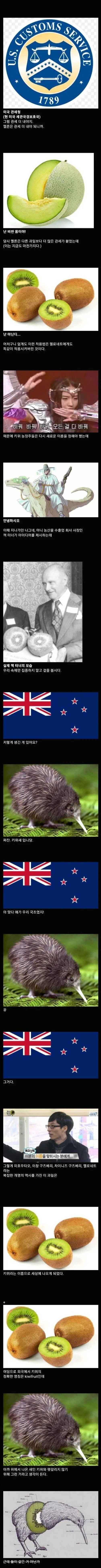 이름이 중국스러워서 개명당한 과일_3.jpg