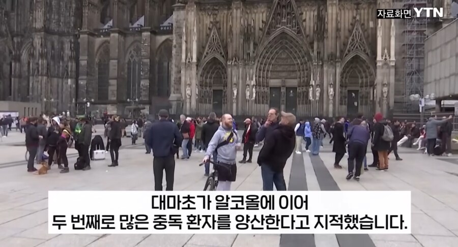 대마초 합법화한 독일 근황._7.png