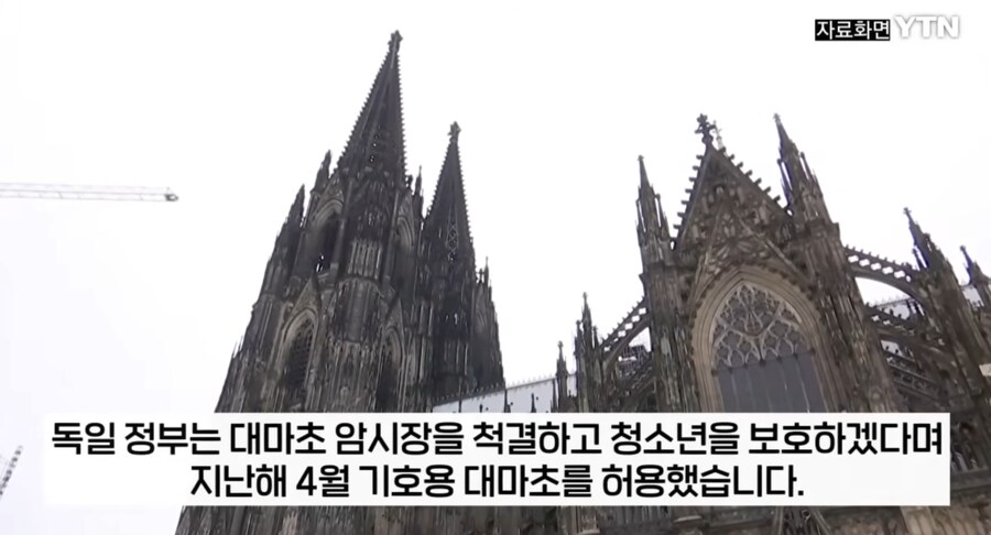 대마초 합법화한 독일 근황._8.png