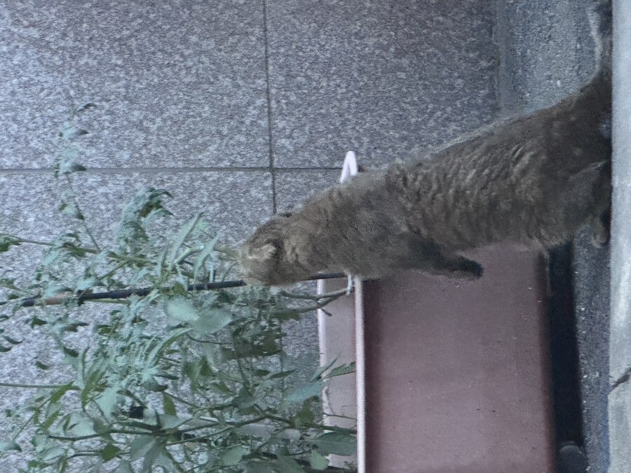 다들 이거 보고가라_1.jpg