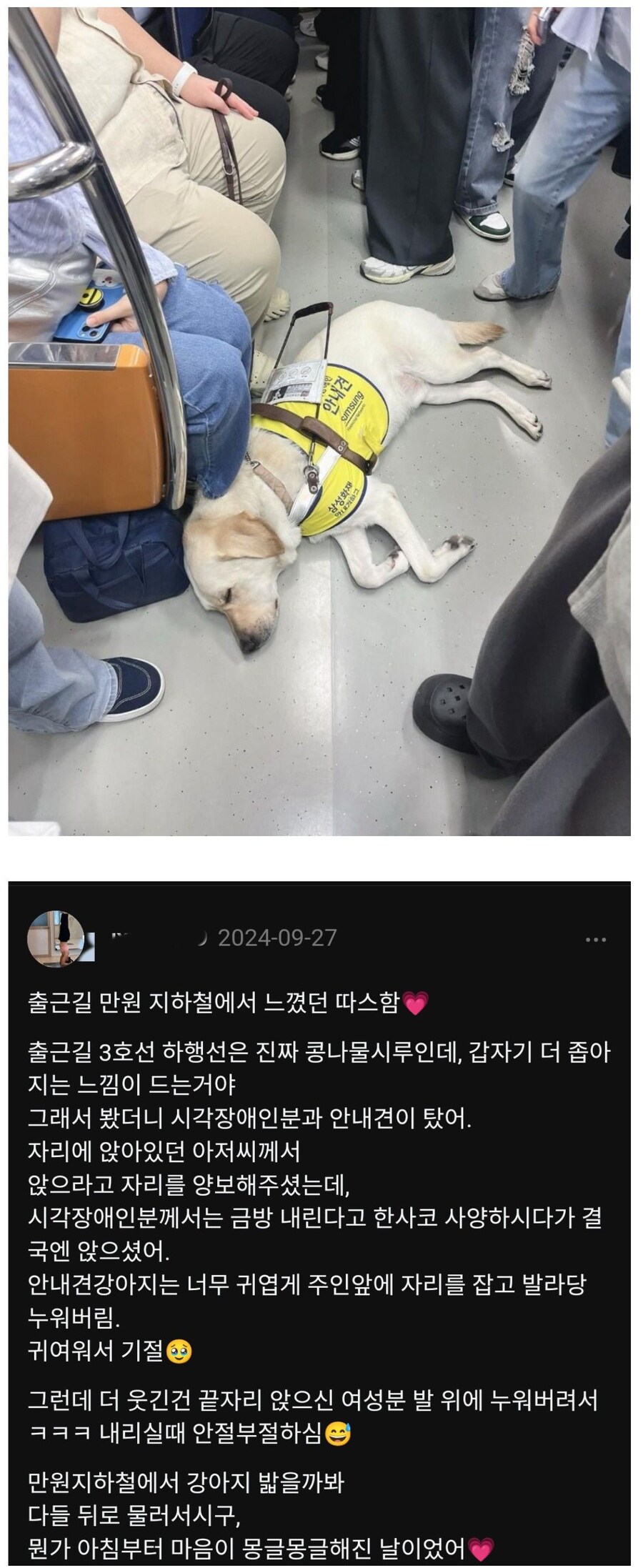 삶 자체가 스트레스인 강아지 jpg._1.jpg