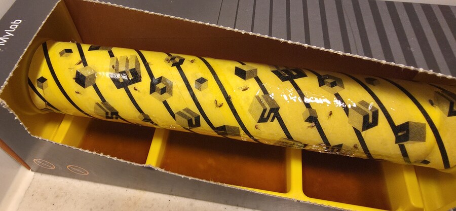 혐) 무단 점거자를 죽여왔다._5.jpg